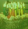 facebook ,frases para facebook,mensajes para facebook,frases para muro de facebook,muro de facebook,pensamientos para facebook,mensajes para facebook,mensajes de cumpleños para facebook,saludos de cumpleños para facebook,textos de cumpleños para facebook
