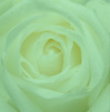 frases de condolencia por muerte,frases de pesame,frases de condolencias,condolencias,palabras de consuelo,luto,frases de luto,mensajes de consuelo,palabras de consuelo,duelo, Frases, frases de duelo,frases de consuelo,mensajes de pesame,sms pesame