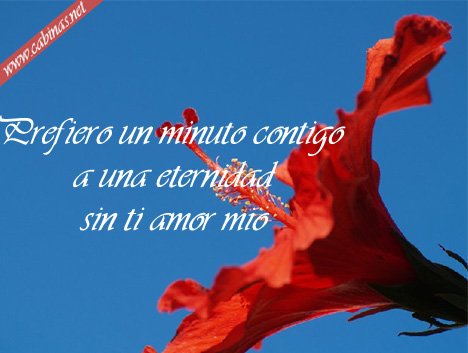 Web amor de kostenlos