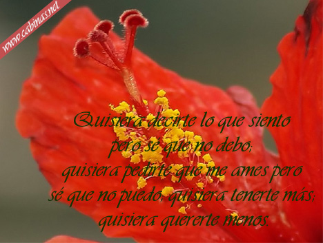 Envia este mensaje de amor a tu ser querido!