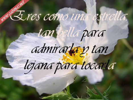 mensajes del amor, mensajes de amor. mensajes del amor,