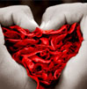 dia de San Valentin,dia de los enamorados,14 de febrero,el dia de los enamorados,frases dia de los enamorados,feliz dia de san valentin,actividades dia san valentin