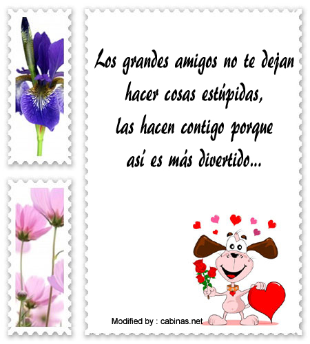 buscar bonitos textos de amistad,frases de amistad para tarjetas