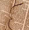 leer rápido,leer rapidamente,como leer rápido,como leer rápidamente,lectura veloz,leer mas veloz,trucos para leer velozmente,leer velozmente