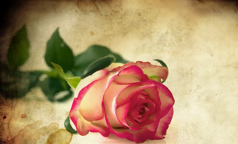 Descargar bonitos mensajes de amor para Facebook