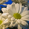 pensamientos para un difunto en su funeral