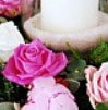 pensamientos de bodas,pensamientos de matrimonio,frases de bodas,enviar textos de bodas gratis